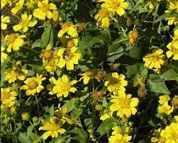 Pin On Homestead Farm