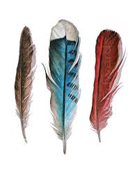 Birds Of A Feather 2020 Itv Three Feathers Robin Blue Jay Cardinal Archival Quality Print 25 00 Via Etsy Robin Bird Tattoos Feather Tattoos Feather Art