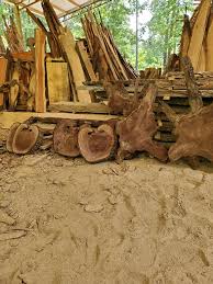 Apply some fertilizer in spring in order to promote healthy growth and a good crop. Walnut Root Ball Slabs They Are 2 Burns Sawmill Service Facebook