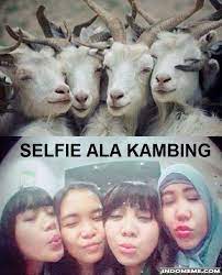 Lirik lagu caca marica anak kambing saya anak kambing lucu mana dimana anak kambing saya anak kambing tuan ada di. Selfie Ala Kambing Funny Pictures Funny Memes Humor