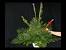 Modern Pedestal Flower Arrangements