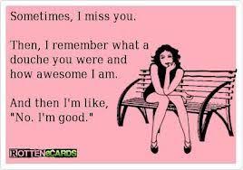 You can also search my large collection of funny quotes. Sometimes I Miss You Then I Remember What A Douche You Were And How Awesome I Am And Them I M Like No I M Good Funny Quotes Ecards Funny Quotes