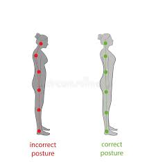 Alinhamento Do Corpo Humano Na Postura Ereta Para a Boa Personalidade E  Saudável Corretos Da Espinha E Do Osso Cuidados Médicos E Ilustração do  Vetor - Ilustração de perfeito, diagrama: 111913713