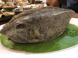 ふぐ毒に注意 見た目もたのしいハコフグを食べるマカッサル 美味しい シーフード料理 フグ