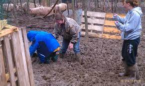 Quility horses bought sold and traded. About Us Kubiak Farms 2