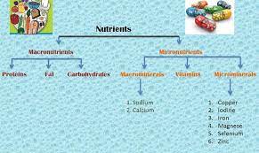 We'll discuss these different ways of classifying nutrients in the following sections. Classification Of Nutrients Www Medicoapps Org