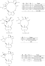 Image result for Hilsenbergia petiolaris