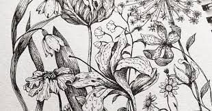 Alice On Instagram Floral Page A Page From My Sketchbook There Is A Lily A Tulip A Snowdrop An Allium And Others Sketch Book Instagram Lily