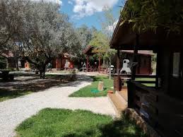 Compara precios, opiniones y zonas para hacer turismo rural. Entre Viejos Olivos Wellness Spa Resort Casa Rural En Benicolet Valencia