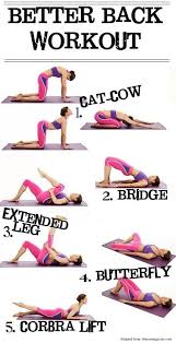 Great Sequence For Stretching Out Or Warming Up Your Back Back Workout Exercise Workout