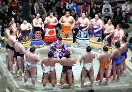 Pin On Sumo Sport