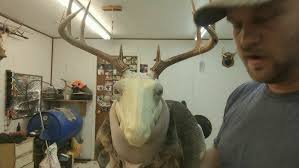 Taxidermy Finishing Deer Heads Part II, Painting and Clear Coats
