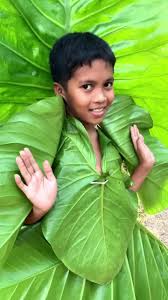 images?q=tbn:ANd9GcTK8tg8D7MkXHVD-A9q_nS