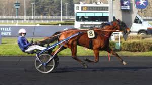 RIKITA JP (résultats et engagements) | LETROT