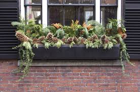 When it comes to planting window boxes you typically want to use a combination of tall flowers in the back, dense flowers in the middle, and hanging flowers in the front. Ideas For Urban Window Box Gardens How To Make Window Boxes For Winter