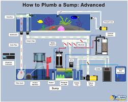 How To Plumb A Sump Basic Intermediate And Advanced Marine Depot Blog Saltwater Aquarium Setup Saltwater Fish Tanks Reef Tank