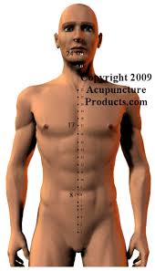 Acupuncture Conception Vessel Meridian Cv