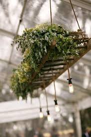 Hanging Ladder Foliage Google Search Hanging Ladder Marquee Decoration Plant Decor