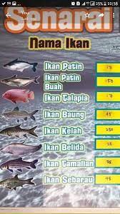 Jadi, apa yang membuatkan ia laku keras seawal 3 hari pelancaran? Nama Nama Ikan Air Tawar Di Malaysia 89 Jenis Ikan Yang Cocok Diletakkan Di Aquascape Seruni Id Jevt Online