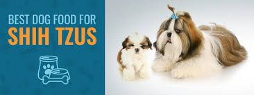 The best way to manage allergies in dogs is to set them up on a hypoallergenic diet. Best Dog Food For Shih Tzu Top 4 In 2020 Animalso