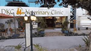 Holistic health care for pets is our passion. Dkc Veterinary Clinic In Dubai Pet Care Treatment Uae