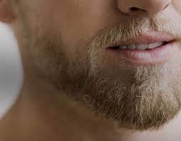 City of newark.98 in that case, a firefighter refused to shave his beard because facial hair was required by. Top 15 Beard Styles For Men Gillette