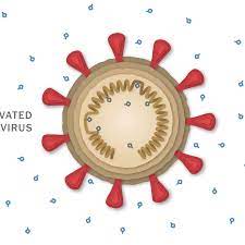 Maybe you would like to learn more about one of these? How The Sinopharm Covid 19 Vaccine Works The New York Times