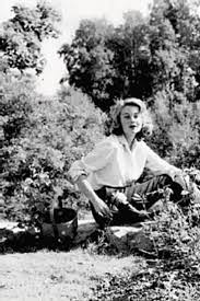Kennedy in the 1950s, titled love, jack, published in 1997. Jfk S Love Letters Show Romantic Side