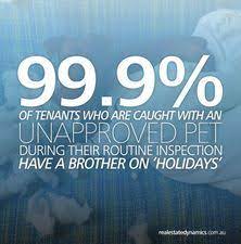 42 Property Management Memes Ideas Property Management Property Management Humor Manager Humor