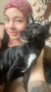 My boy is about 4 months old , he's extremely food oriented to the point  where he sits and doesn't grab at treats etc but is blind to any other  command ,