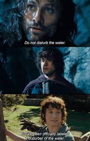 Biological Science Freeman 6th Edition Quizlet Disturber Of The Water In 2020 Lotr Funny The Hobbit Tolkien Funny