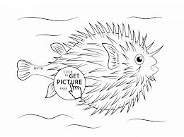 Puffer Fish Coloring Page For Kids Animal Coloring Pages Printables Free Wuppsy Com Animal Coloring Pages Fish Coloring Page Coloring Pages