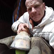 Farrier for thrush and white line disease in Tremonton/Bothwell area