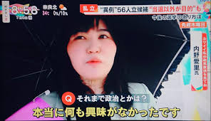 都知事選 ポスター ねこ