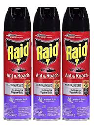 Raid Ant & Roach Killer 26 - Outdoor Fresh, 2 Pk - Shop Insect Killers At  H-E-B