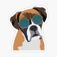 Sometimes, you may find dogs and puppies for free to a good home advertised by an owner who may no longer be able to look after them because of. Boxer Dogs Stickers Redbubble