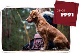 We did not find results for: Pet Depot 1 Independent Pet Franchise