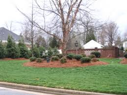 We did not find results for: Selling Home Diana Digs Dirt