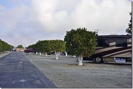 Maybe you would like to learn more about one of these? The Good The Bad And The Really Ugly Orange Grove Rv Park Bakersfield Ca