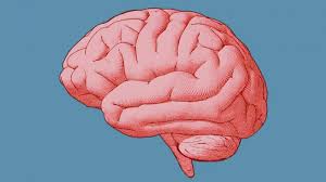 Neoplasia a tumor is an abnormal mass of tissue resulting from autonomous, progressive, excessive proliferation of body cells not integrated into normal tissue. Perlu Diwaspadai Ini 5 Tanda Seseorang Terkena Tumor Otak Merahputih