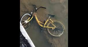 They're ideal for gravel and dirt paths or paved roads and feature a number of gears to make climbing hills easier. Ofo Share Bike Dumped In Phuket Town Canal