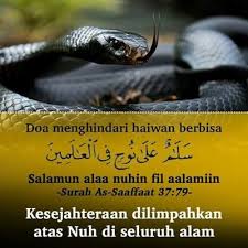 Ular adalah hewan reptil yang bisa ditemukan di mana saja, mulai dari hutan, gunung, laut, rawa, sampai dengan pemukiman warga. Ular Masuk Rumah Anda Ini Tindakan Yang Perlu Dilakukan