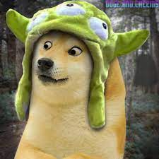 1080 x 1080 doge / dog, shiba inu hd wallpaper & background • 33267 • wallur. Le Youtube Controversy Has Arrived R Dogelore Ironic Doge Memes Know Your Meme