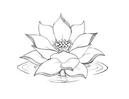 Download Lotus Flower Coloring Page Mandala Pages Lotus Flower Colors Lotus Flower Mandala Lotus Drawing