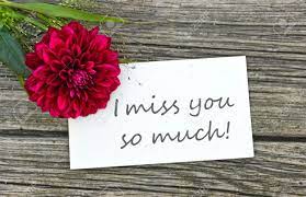Yu has over 25 years of professional floral design experience. Card I Miss You So Much With Red Flower Stock Photo Picture And Royalty Free Image Image 23836635
