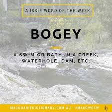 Bogey A Swim Or Bath In A Creek Waterhole Dam Etc Weird Words Rare Words Wonderful Words