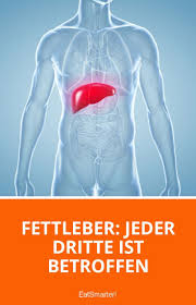 Ernahrung Bei Fettleber Fettleber Ernahrung Bei Fettleber Bauchschmerzen