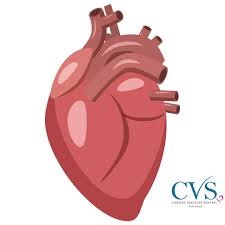 Cardiac vascular sentral (kuala lumpur) sdn. Cardiac Vascular Sentral Kuala Lumpur å‰éš†å¡å¿ƒè„å'Œè„‰ç®¡ä¸­å¿ƒ Integrated Cardiac And Vascular Hospital Kl