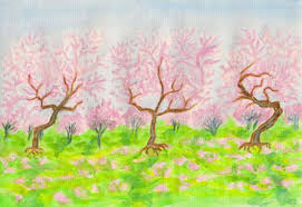 Con este programa de microsoft. Jardin En Flor En Primavera Con Las Cerezas De Color Rosa Pintado A Mano Dibujo Acuarelas Fotos Retratos Imagenes Y Fotografia De Archivo Libres De Derecho Image 17384781