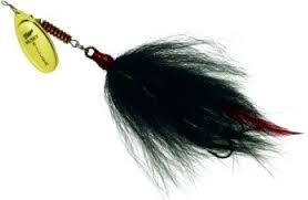 Image result for Ypsilopus liae